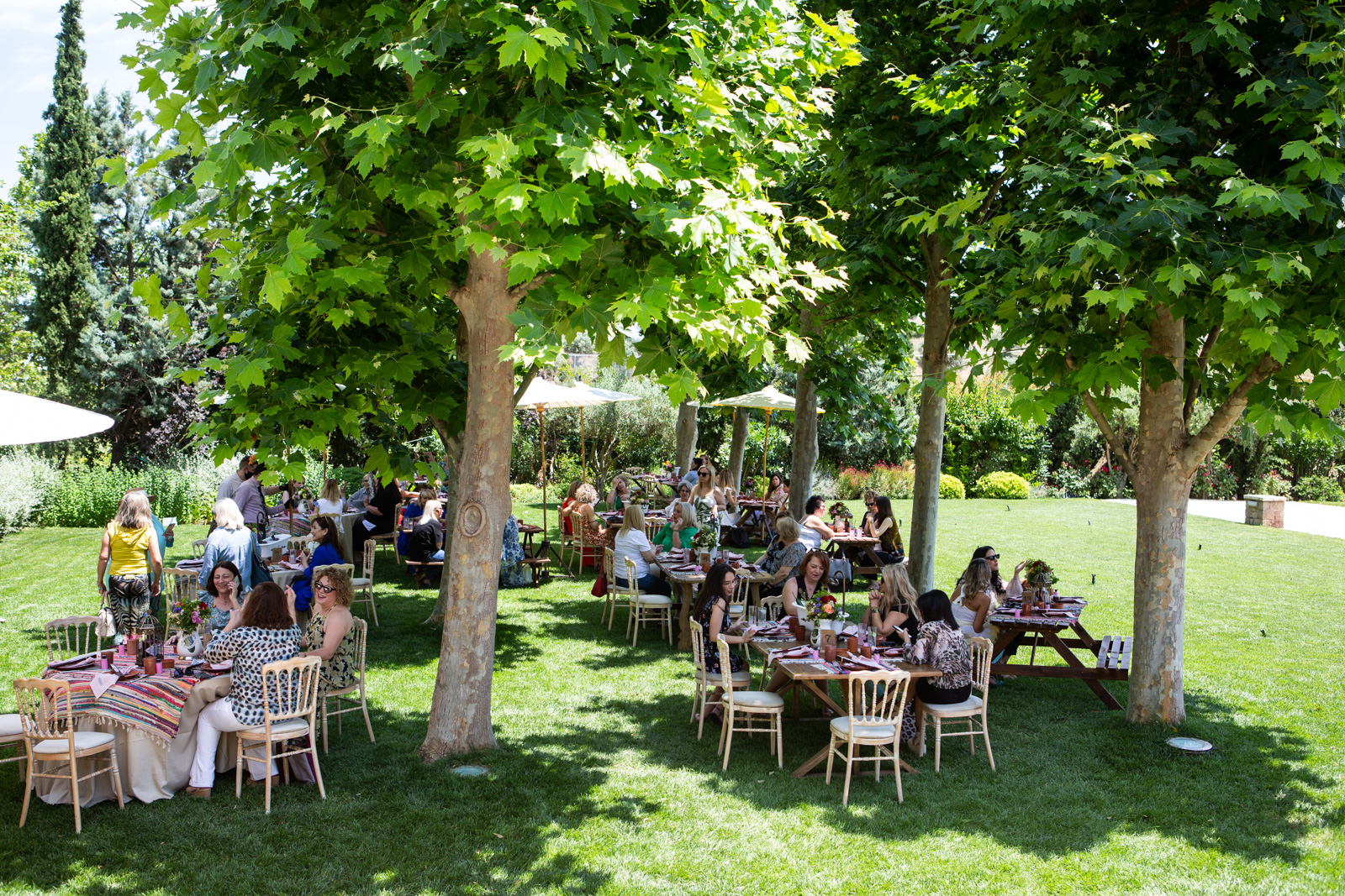 The annual and unusual picnic, το event