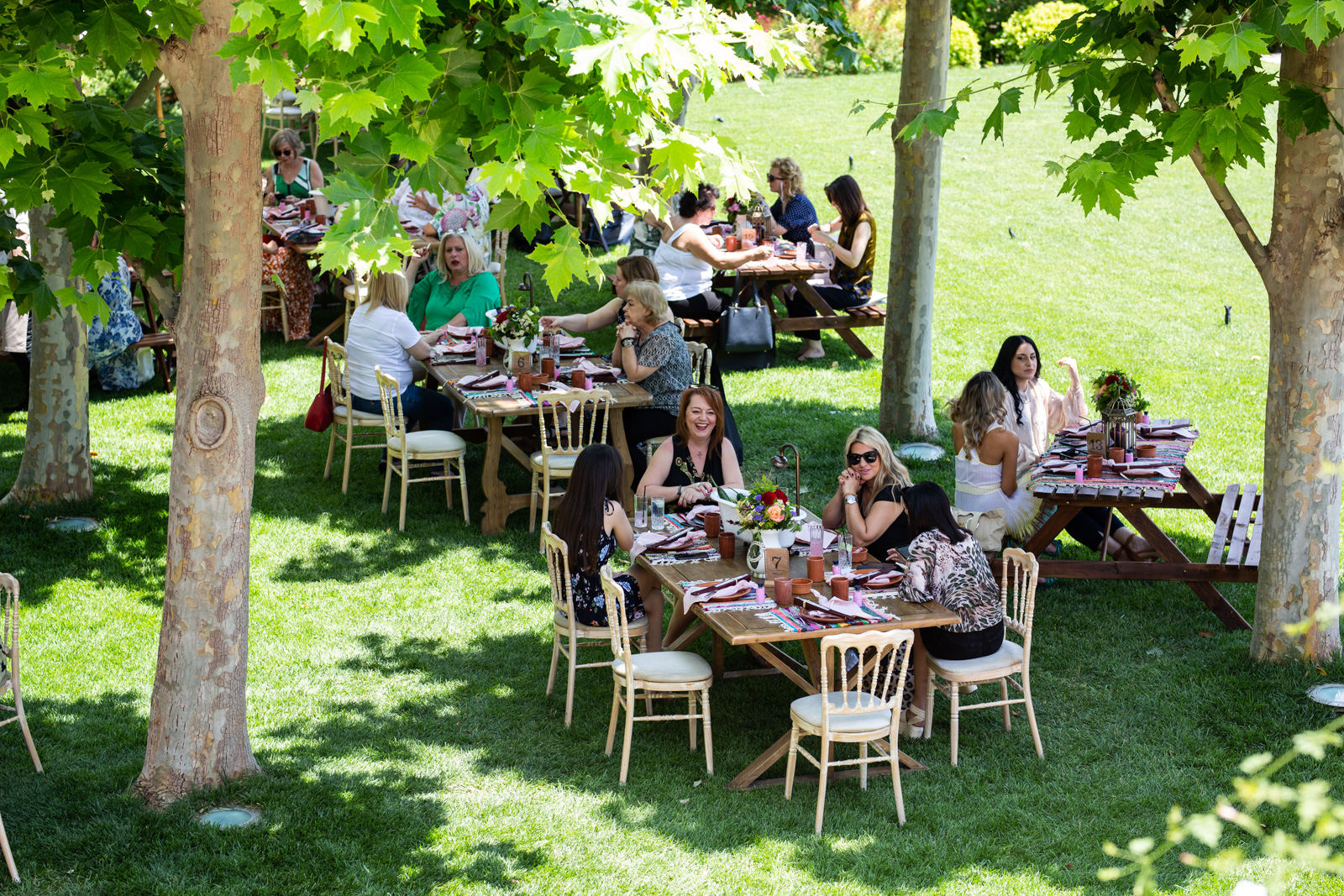 The annual and unusual picnic, το event